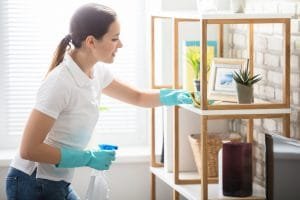 Professional Cleaning Services